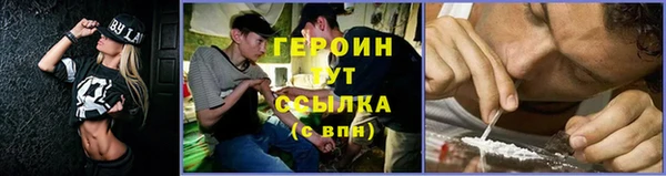 СК Алексин