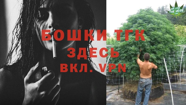 СК Алексин