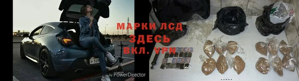СК Алексин