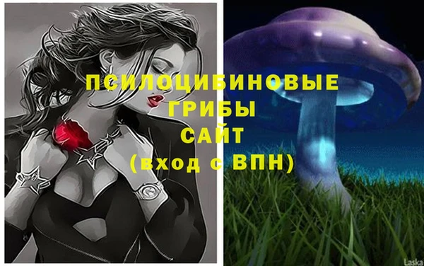 СК Алексин