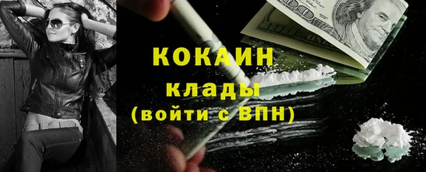 соль ск Алзамай