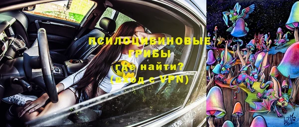 соль ск Алзамай